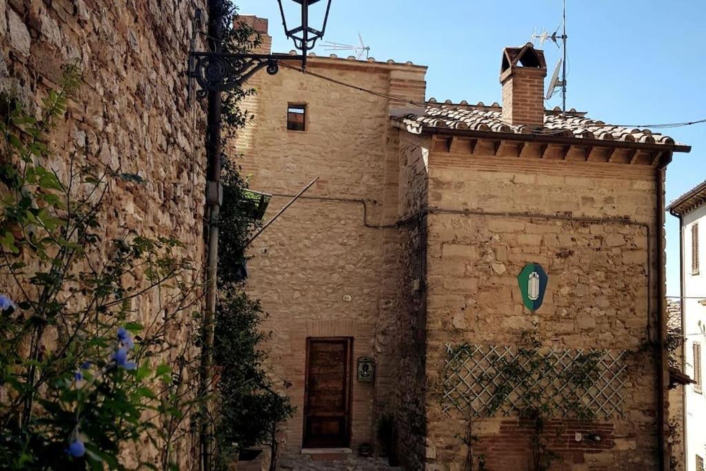 *La Torre Di Amelia* Nel Cuore Dell' Umbria Exteriör bild